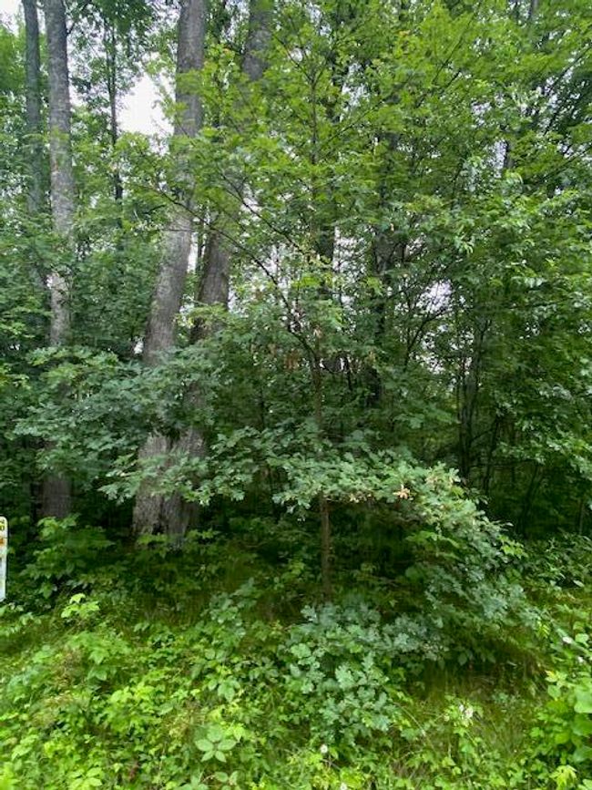 Lt0 Netzel Ln, Home with 0 bedrooms, 0 bathrooms and null parking in Crivitz WI | Image 6