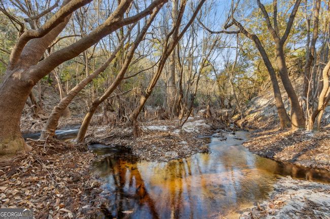 0 Highway 185, Home with 0 bedrooms, 0 bathrooms and null parking in Saint George GA | Image 5