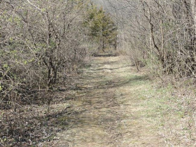 10.45 Acres Ringhand Rd, Home with 0 bedrooms, 0 bathrooms and null parking in SYLVESTER WI | Image 45