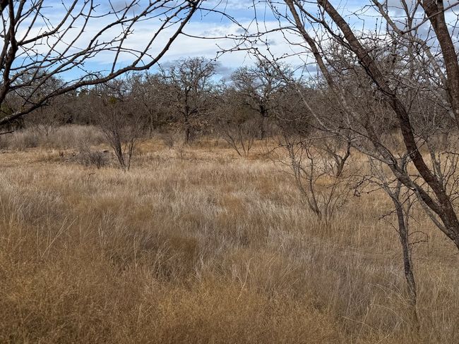0 Langes Mill Rd, Home with 0 bedrooms, 0 bathrooms and null parking in Doss TX | Image 8
