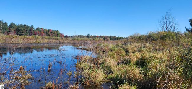 40 Acres Truesdale Road, Home with 0 bedrooms, 0 bathrooms and null parking in Manton MI | Image 6