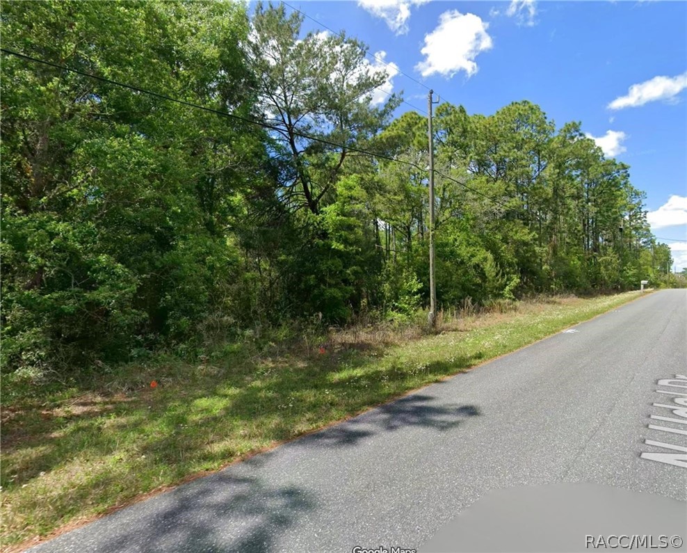 Land in Citrus Springs 3