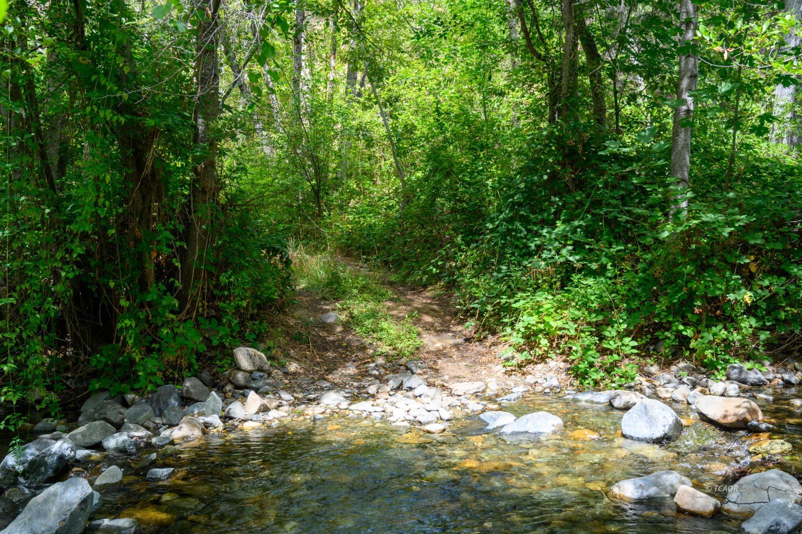 Land in Douglas City 3