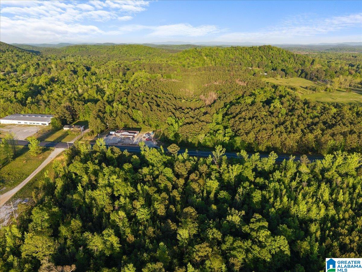 Land in OHATCHEE 5