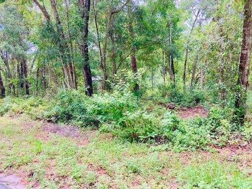 407 Raulerson Rd, Seville, FL, 32190-7877 | Card Image