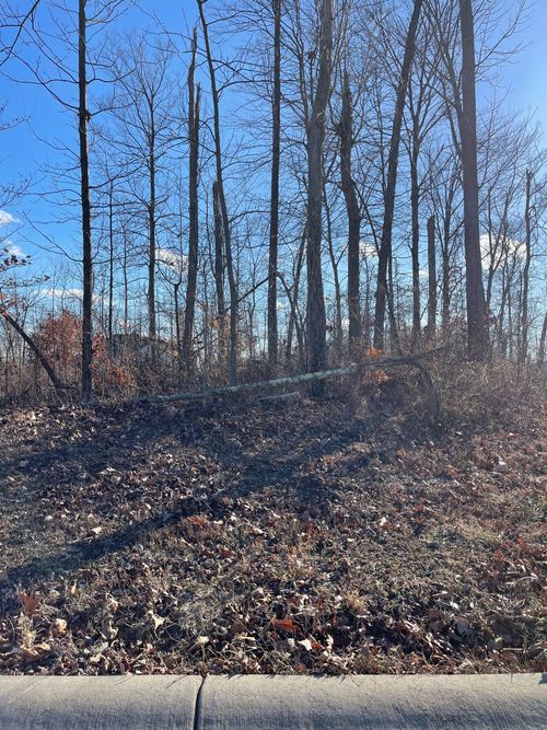 137 Burr Oak Dr, Batesville, IN, 47006-7590 | Card Image