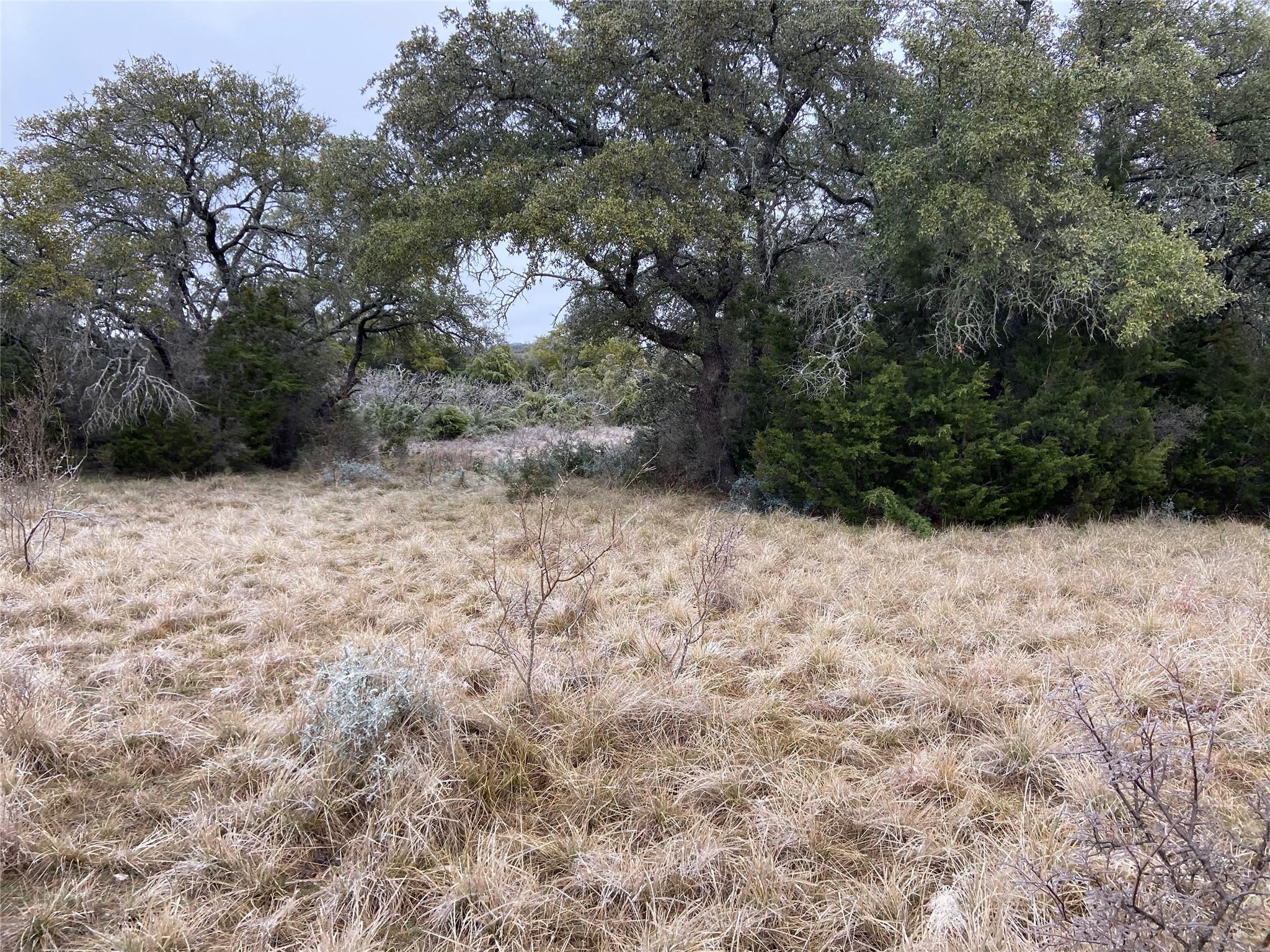 Land in Rocksprings 3