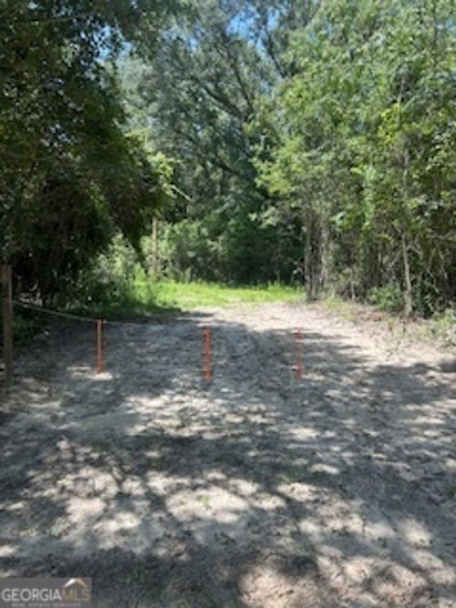 24.91 AC Clifford Rd, Claxton, GA, 30417 | Card Image