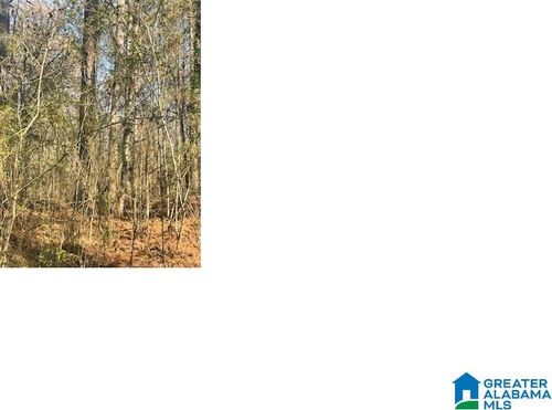 35-0 Aurora Drive, ALPINE, AL, 35014 | Card Image