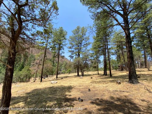 109111 E Riverside Dr, Ruidoso, NM, 88345-7643 | Card Image