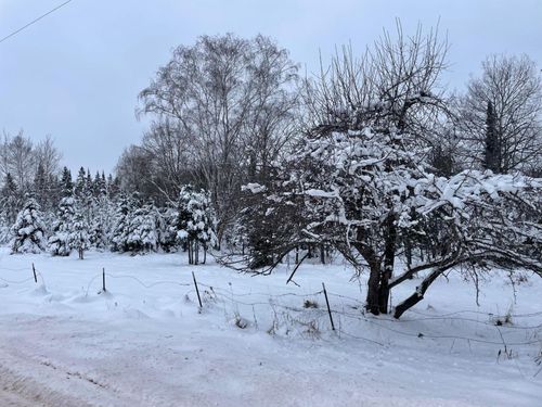 20-a-ON Cth F, Butternut, WI, 54514 | Card Image