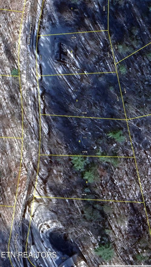 4 Emerald Springs Loop, Sevierville, TN, 37862-8623 | Card Image