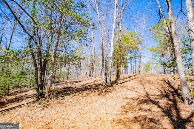 0 County Road 269, Home with 0 bedrooms, 0 bathrooms and null parking in Wedowee AL | Image 15