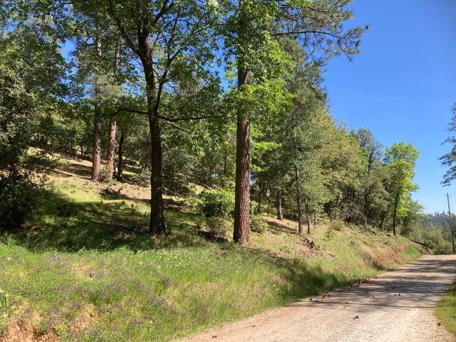 16688 Sonshine Ln, Home with 0 bedrooms, 0 bathrooms and null parking in Sutter Creek CA | Image 19