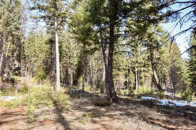 270 Tomahawk Trl, Home with 0 bedrooms, 0 bathrooms and null parking in Fortine MT | Image 15