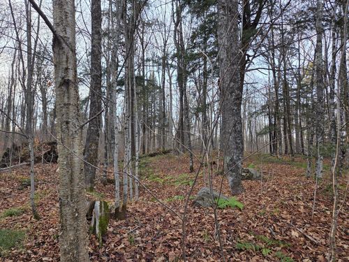 431ac-OFF Forest Road 3979, Watersmeet, MI, 49969 | Card Image