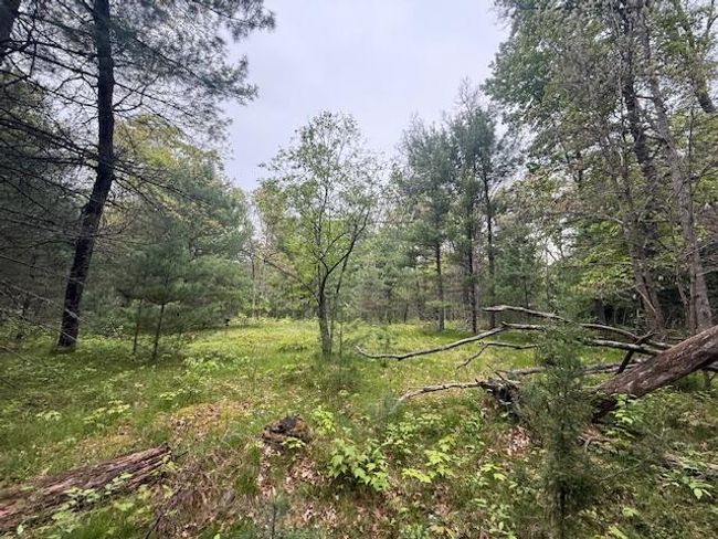 4465 E Old M 63, House other with 3 bedrooms, 1 bathrooms and null parking in Luther MI | Image 30