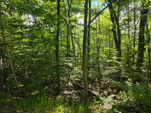 0 Nashville Rd, Saranac, NY, 12981 | Card Image