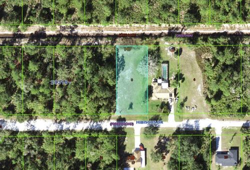 916 Hibiscus Drive, INDIAN LAKE ESTATES, FL, 33855 | Card Image