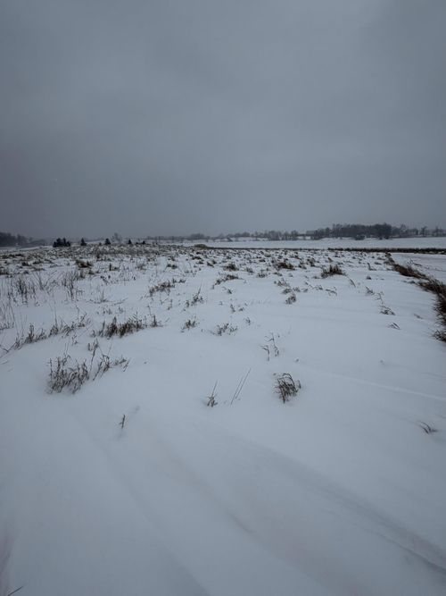 TBD 395th St, Dent, MN, 56528 | Card Image