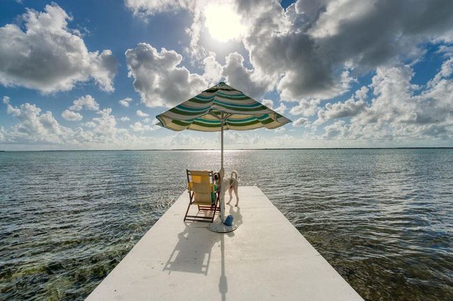 Dock | Image 64