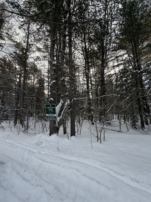 1839 Bear Cave Rd, Muskoka Lakes, ON, P0C1J0 | Card Image