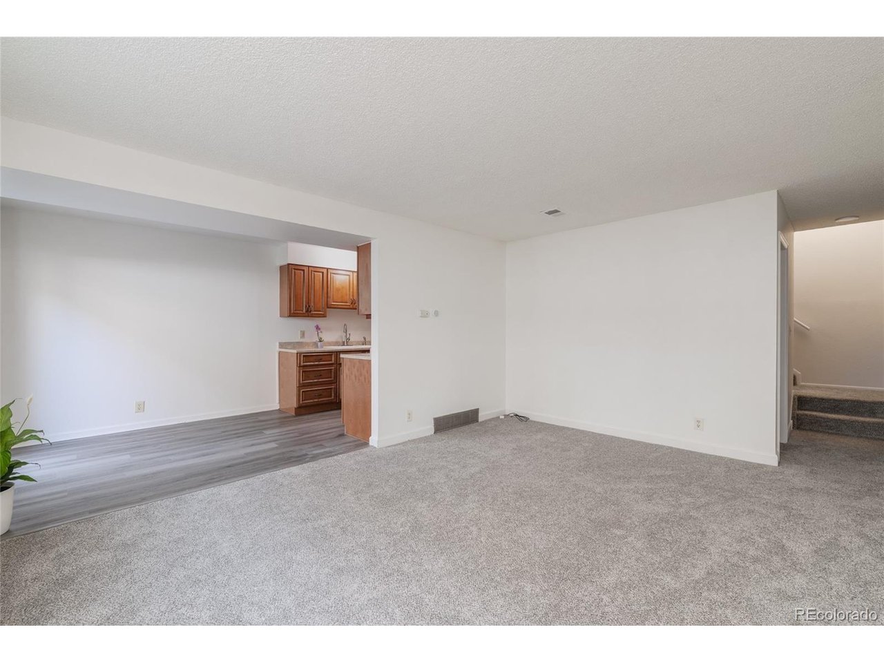 Residential in Denver 3