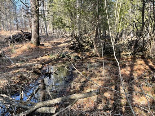 V/L N Lakola, Ellsworth Township, MI, 49655 | Card Image