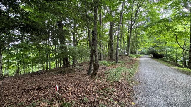 530 El Miner Dr, Home with 0 bedrooms, 0 bathrooms and null parking in Mars Hill NC | Image 8