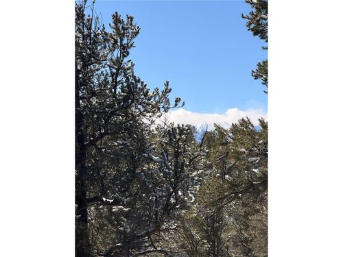 0 41st Trail, Cotopaxi, CO, 81223 | Card Image