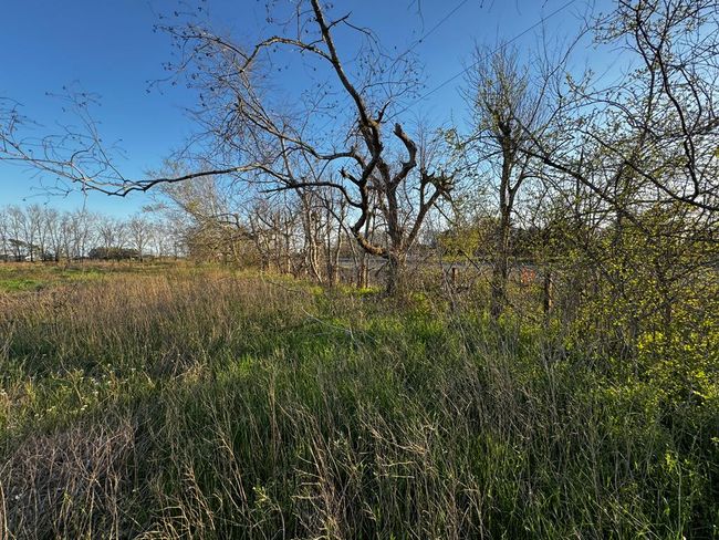 27215 Highway 36, Home with 0 bedrooms, 0 bathrooms and null parking in Damon TX | Image 22