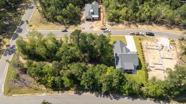 812 Elms Spinney Ln, Home with 0 bedrooms, 0 bathrooms and null parking in Chapin SC | Image 20