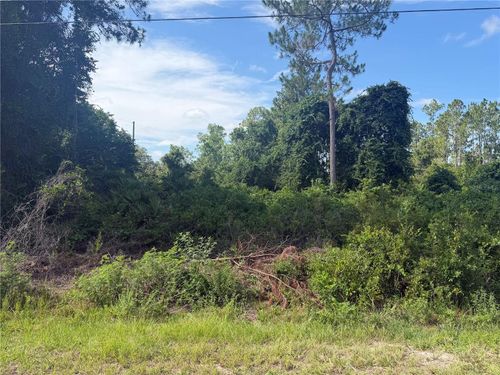 TBD Malauka Terrace Ct, OCKLAWAHA, FL, 32179 | Card Image