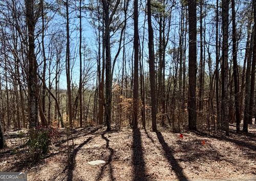2487 S Carroll Ct, Villa Rica, GA, 30180-4061 | Card Image