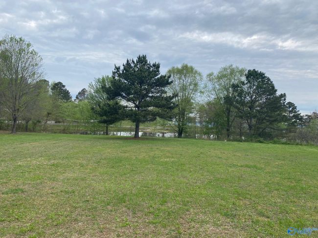Lot 302 Main Street, Home with 0 bedrooms, 0 bathrooms and null parking in Pisgah AL | Image 4