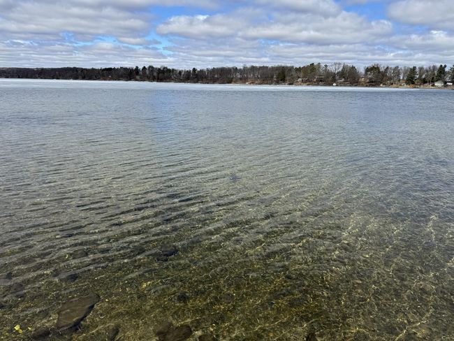 Deer Lake | Image 25
