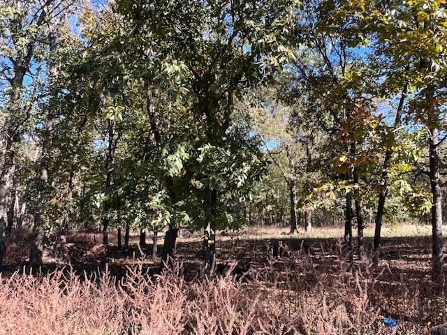 Land in Broken Bow 4
