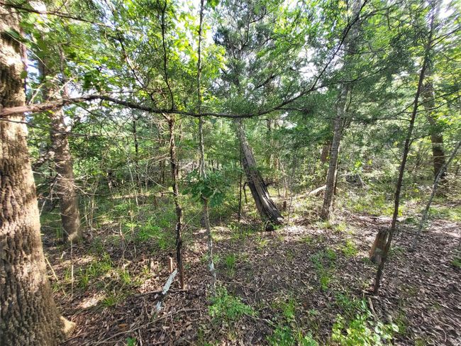 54313 Ridgecrest Cir, Home with 0 bedrooms, 0 bathrooms and null parking in Coldspring TX | Image 6