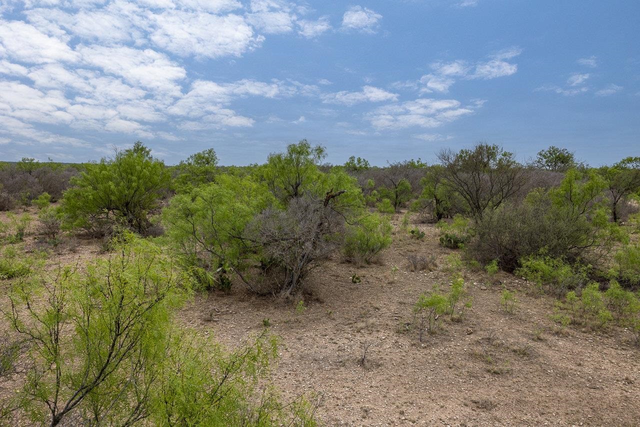 Land in Del Rio 4