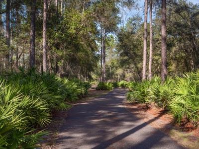 21115 Se 179th Place, House other with 4 bedrooms, 4 bathrooms and null parking in Hawthorne FL | Image 3