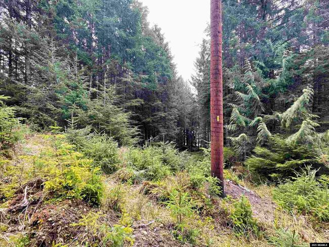 L3A &amp; 3B No Street Given, Home with 0 bedrooms, 0 bathrooms and null parking in Whale Pass AK | Image 19