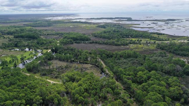 LOT 7 Sw 104th St, Home with 0 bedrooms, 0 bathrooms and null parking in CEDAR KEY FL | Image 5