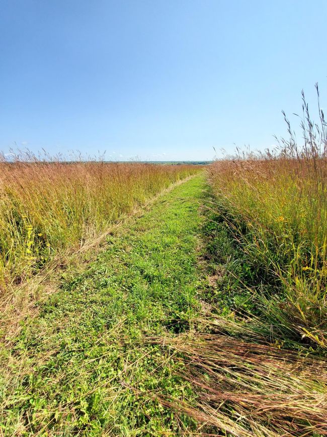 TBD 110 Th St Se, Home with 0 bedrooms, 0 bathrooms and null parking in Chatfield MN | Image 9