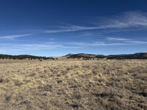 532 Atlasta Drive, Westcliffe, CO, 81252 | Card Image