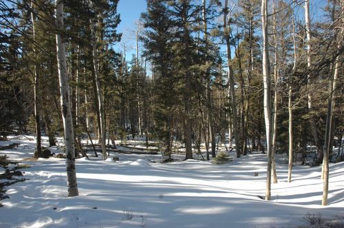 Lot 215 Taos Drive, Angel Fire, NM, 87710 | Card Image