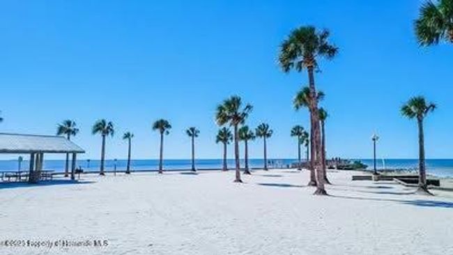 3515 Centavo Ct, House other with 2 bedrooms, 2 bathrooms and null parking in Hernando Beach FL | Image 36