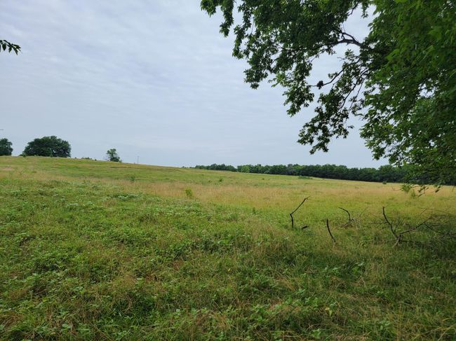 231 Fm 100, Home with 0 bedrooms, 0 bathrooms and null parking in Honey Grove TX | Image 6
