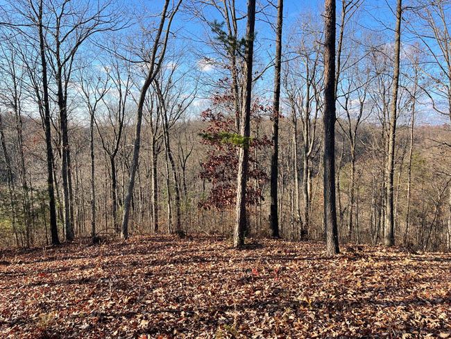 lot 7 Sandstone Point, Home with 0 bedrooms, 0 bathrooms and null parking in Monticello KY | Image 2