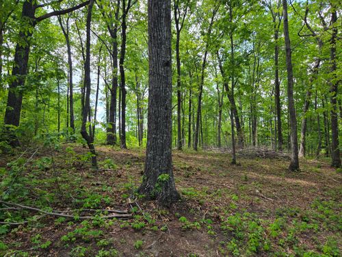 000 Ski View Dr, Dunlap, TN, 37327 | Card Image