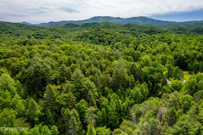 000 Cane Creek Mountain Rd, Home with 0 bedrooms, 0 bathrooms and null parking in Tellico Plains TN | Image 27